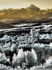 USA-Colorado Infrared of view of Mount Sneffels and Aspen trees Art Print